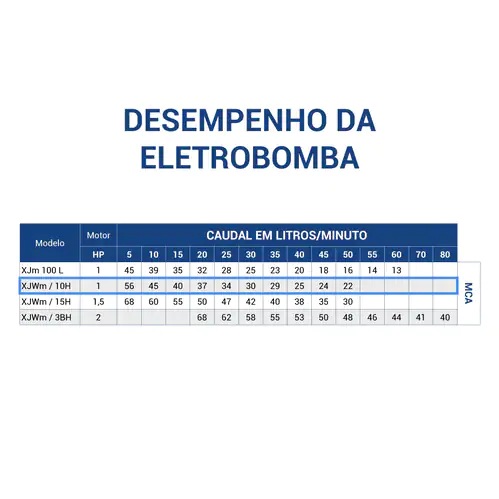 Performance of the Electric Pump